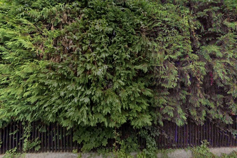 EKONMAKS Janina Dusza. Biuro rachunkowe - Tychy